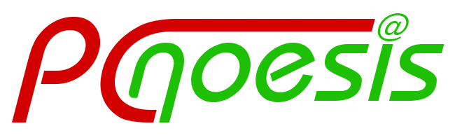 PCnoesis